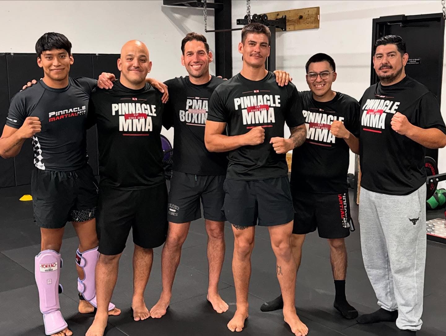 Pinnacle Martial Arts gallery image 4