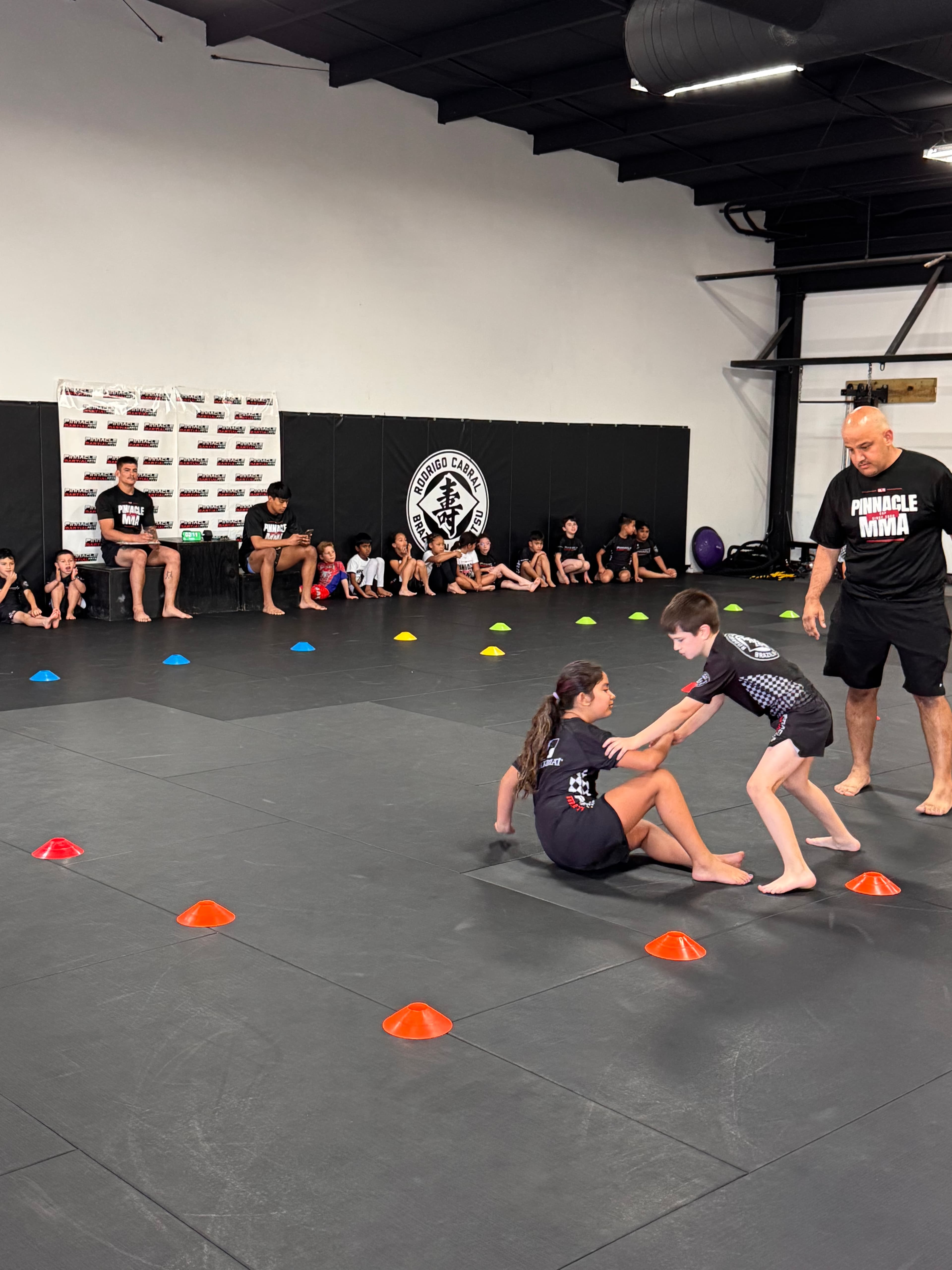 Pinnacle Martial Arts gallery image 5
